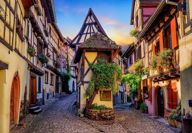 Le Marcellin Colmar - Garage - Terrasseアパートメント エクステリア 写真